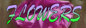The Flower Page