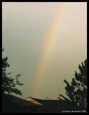 In Memory of Rainbow