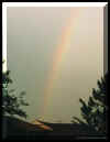 In Memory of Rainbow
